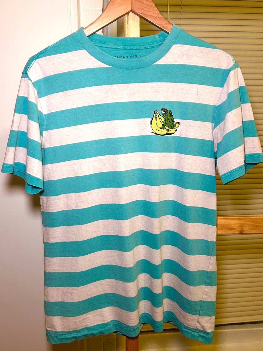 American Eagle Striped Graphic Tee in Blue & Pink Size Small Like New